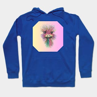 Rainbow Ostrich Hoodie